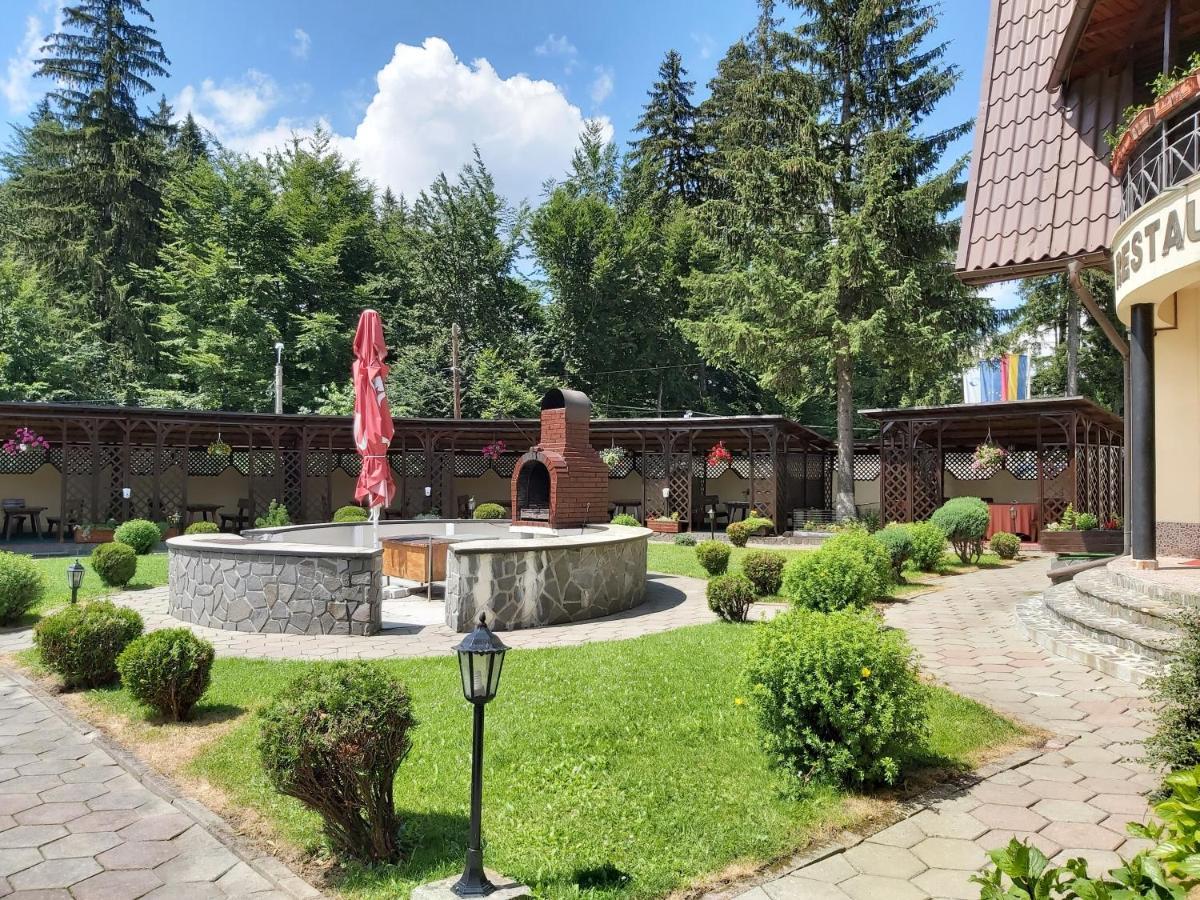 Hotel Ruia Poiana Brasov Buitenkant foto