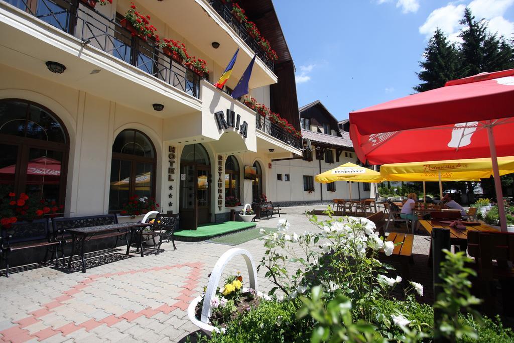 Hotel Ruia Poiana Brasov Buitenkant foto