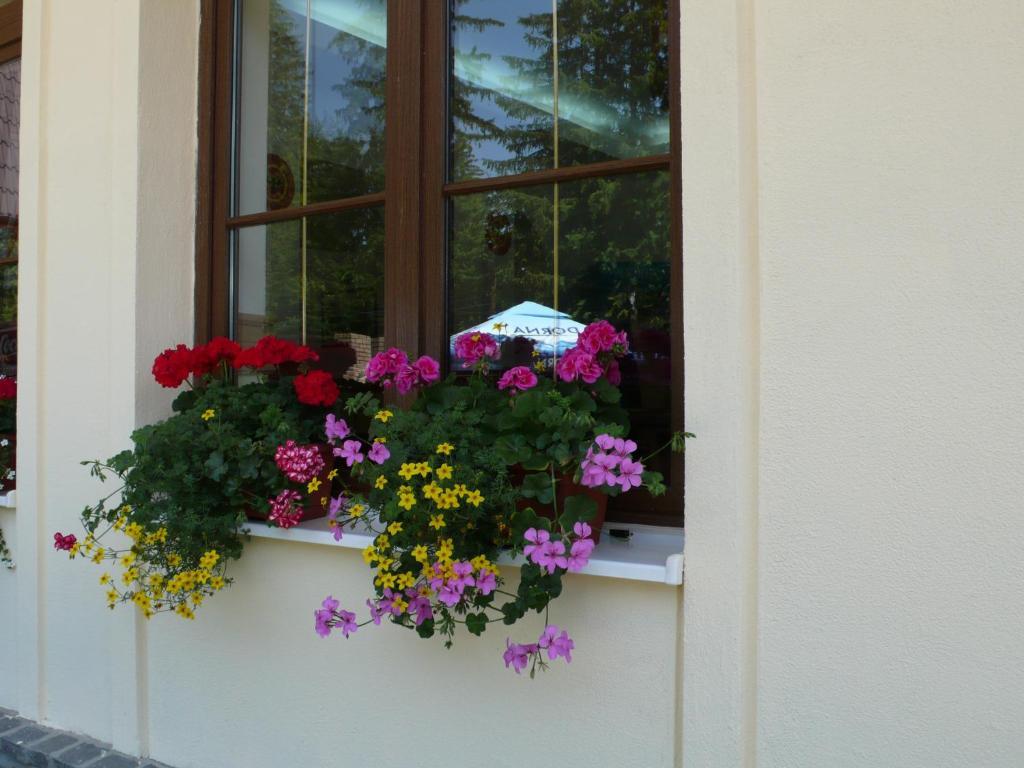 Hotel Ruia Poiana Brasov Buitenkant foto